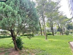 jurong-east-ville photo thumbnail #2